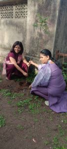 100 दिवस कार्यक्रम अंतर्गत वृक्षरोपण कार्यक्रम